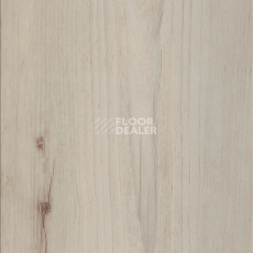 Кварцвиниловые полы AW Invictus Maximus Plank Norwegian Wood Arctic фото 1 | FLOORDEALER
